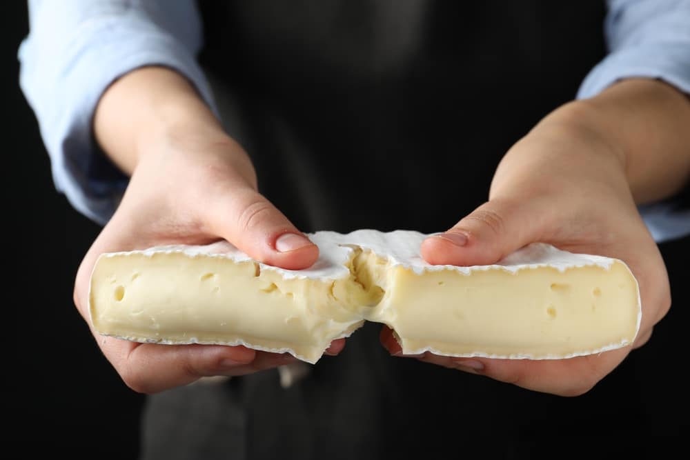 Brie Cheese 