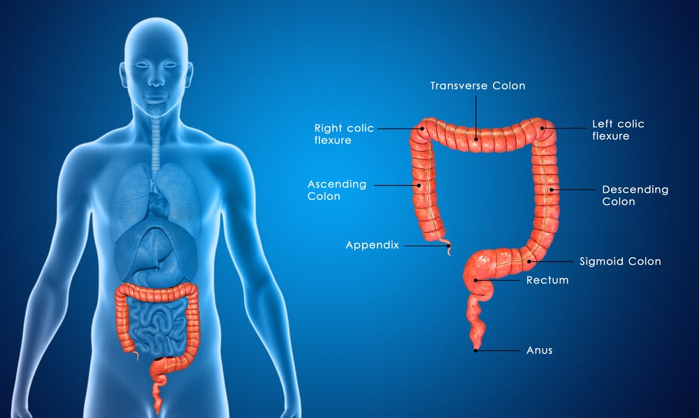 crohn’s disease affect small intestine